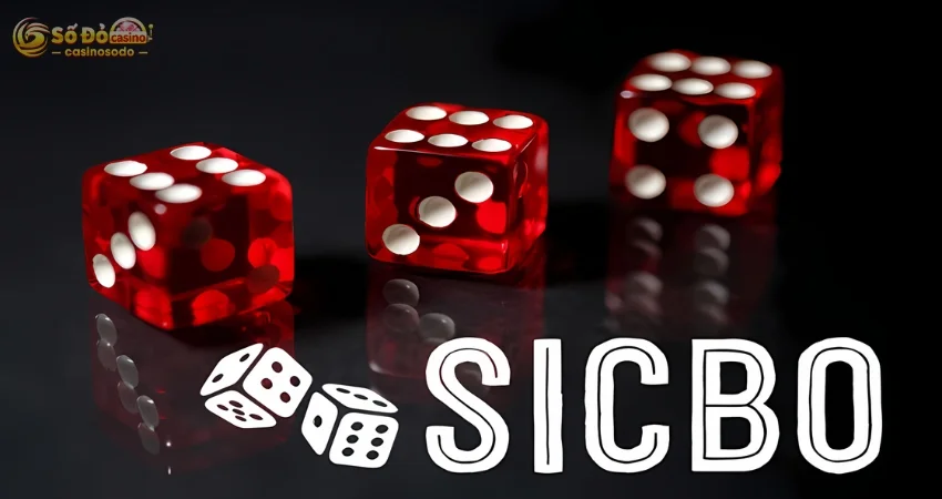 Sicbo SODO CASINO - Luật Đặt Cược Cho Người Mới Nhập Môn